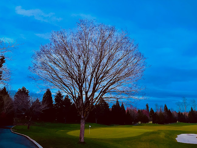 Morgans Restaurant and Wine Bar - Hospitality and gastronomy