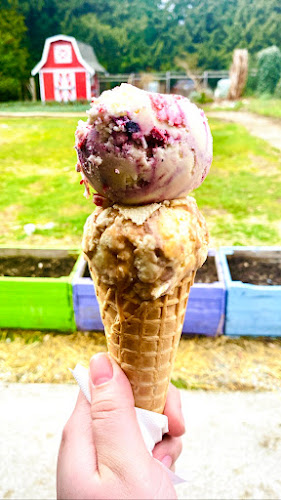 The Folly Artisan Food Shop - Roberts Creek