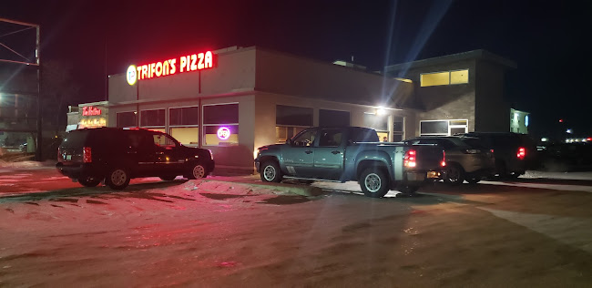 TRIFON'S PIZZA - Hospitality and gastronomy