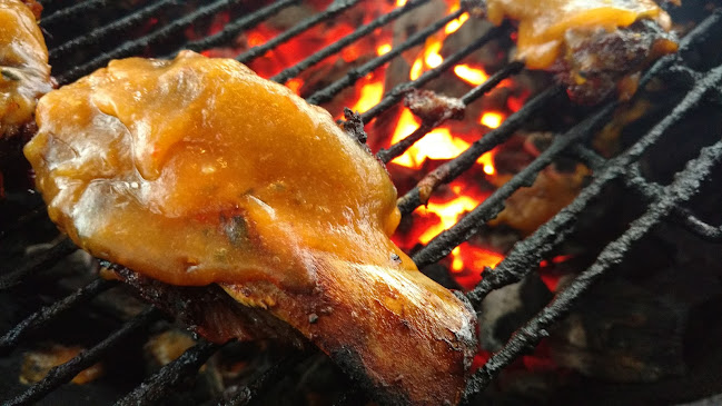 The Wandering Bison - Whitehorse