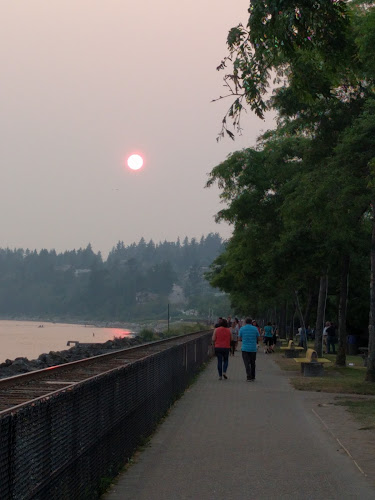 Cones Creamery - Hospitality and gastronomy