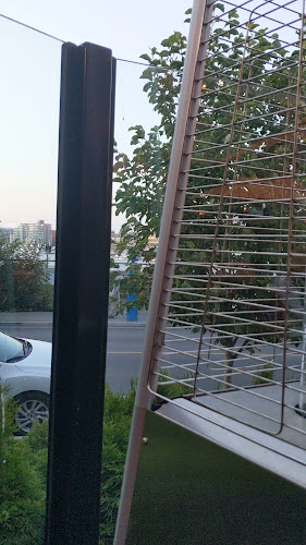 Belleville's - Hospitality and gastronomy