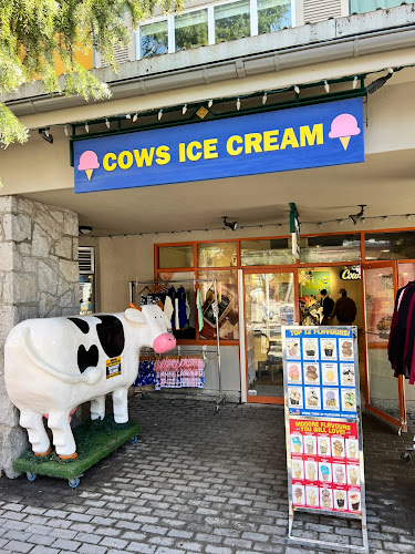 Comentarii opinii despre COWS Whistler