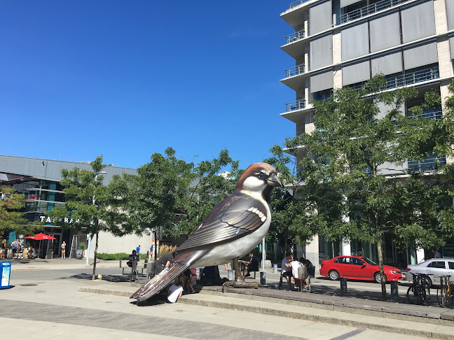 Tap & Barrel • Olympic Village - Vancouver