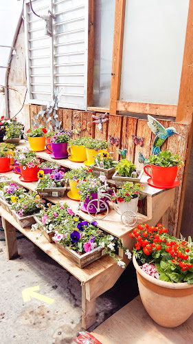 830 Valley Rd, Saskatoon, SK S7K 3J6