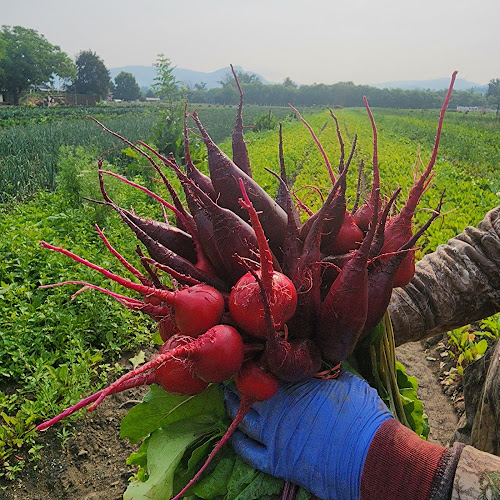 Comentarii opinii despre Don-O-Ray Farmers Market