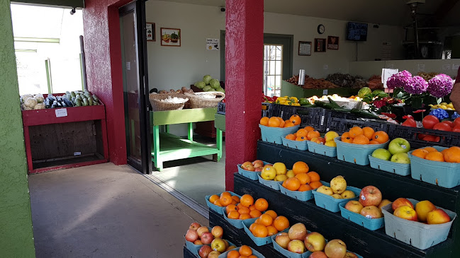 11020 No 4 Rd, Richmond, BC V7A 2Z8