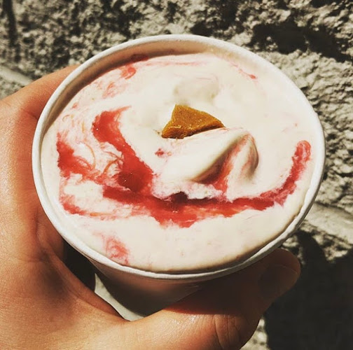 49 Below Ice Cream - Hospitality and gastronomy