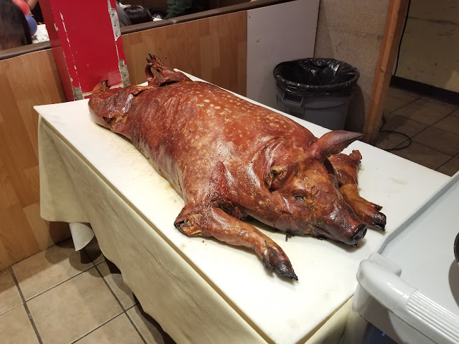 1083 Knottwood Rd E Northwest, Edmonton, AB T6K 3N5