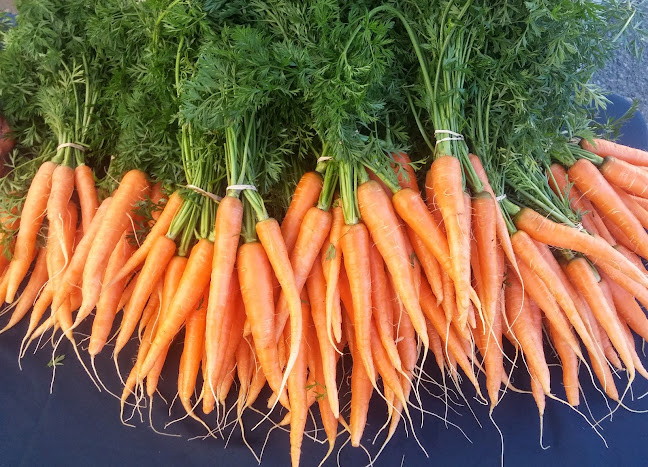 Opinii despre Kamloops Regional Farmers' Market în Kamloops - Hospitality and gastronomy