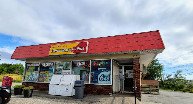 Opinii despre Forest Hills Variety & Pizza Shack în Saint John - Hospitality and gastronomy