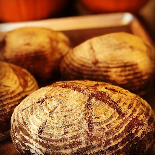 Oui8 Bakery - Hospitality and gastronomy