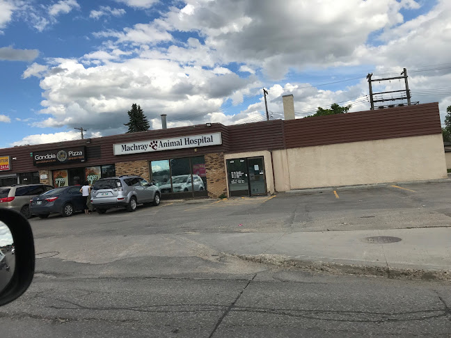 Gondola Pizza West Kildonan, Maples, Tyndall Park, Riverbend, Rivergrove, Whistler Hollow, AmberTrails, Castlebury Meadows - Hospitality and gastronomy