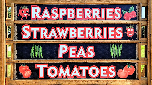 Millar Berry Farms - London