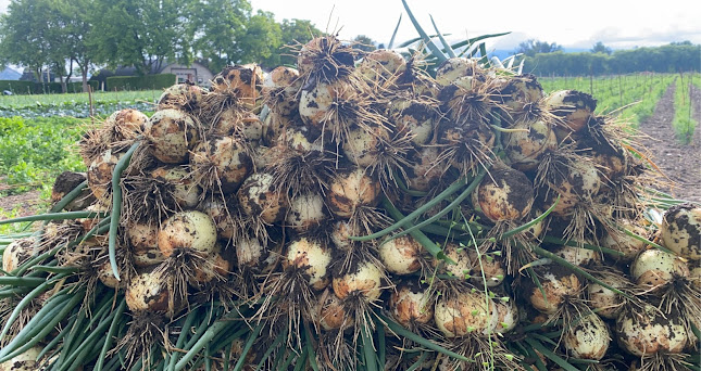 3443 Benvoulin Rd, Kelowna, BC V1W 4M5