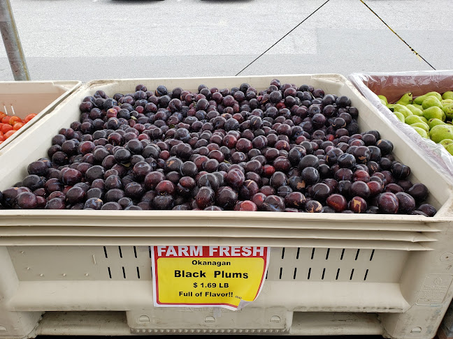 Comentarii opinii despre Hamilton Farms