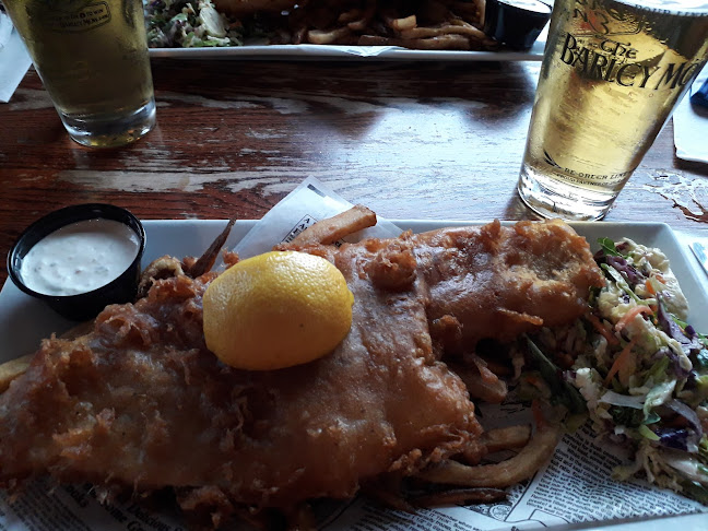 Opinii despre The Barley Mow Orleans în Orléans - Hospitality and gastronomy