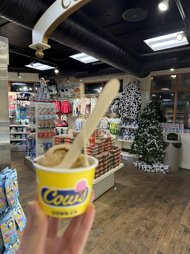 Comentarii opinii despre COWS Whistler