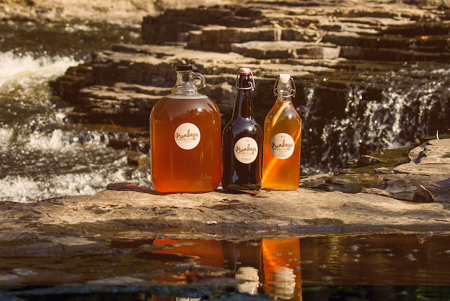 Kumbaya Kombucha Inc. - Hospitality and gastronomy