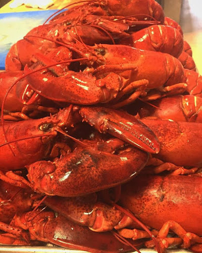 Tide and Vine Oyster House - Hospitality and gastronomy