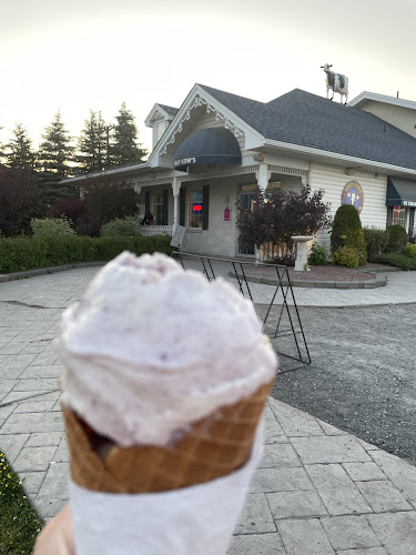 Holy Cows Ice Cream - Sault Ste. Marie