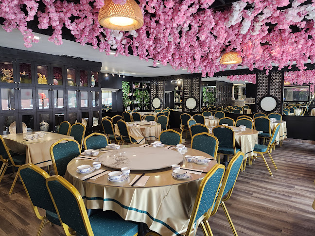 233 Centre St S #201, Calgary, AB T2G 2B6