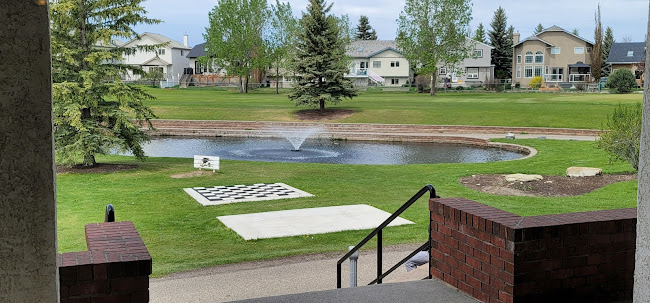 Comentarii opinii despre Woods