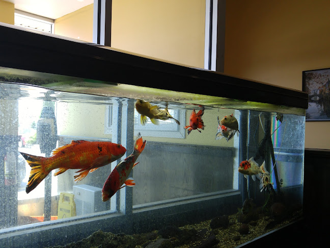 Comentarii opinii despre Maple Leaf Queen's Buffet