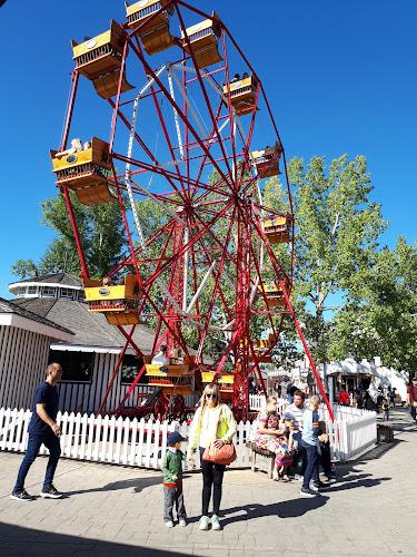 Vulcan Ice Cream Parlour 1910