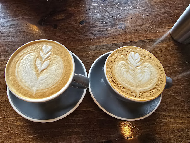 Alchemy Coffee - Markham