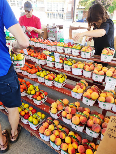 Comentarii opinii despre Sudbury Market