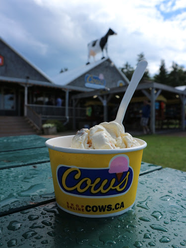 COWS Cavendish Boardwalk - Cavendish