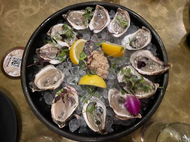 Dasha - Hospitality and gastronomy