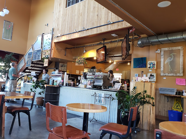 Buzz Coffee House - Hospitality and gastronomy