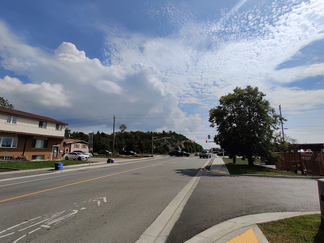 Comentarii opinii despre Gonga's Grill Falconbridge