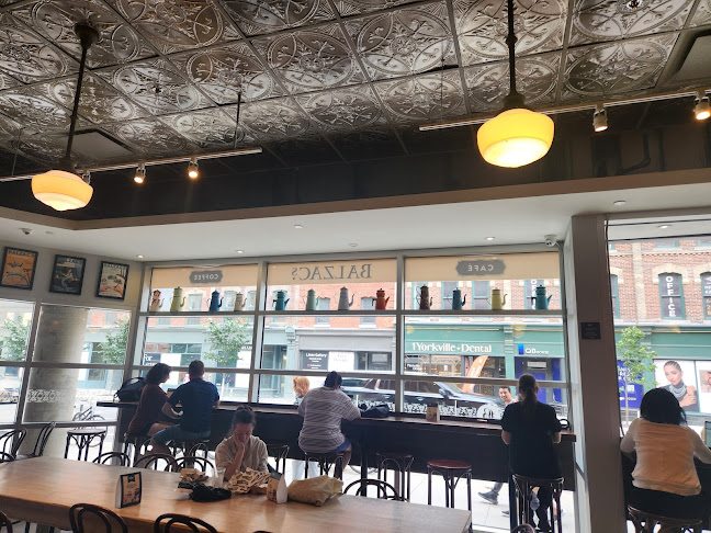 Comentarii opinii despre Balzac's Reference Library