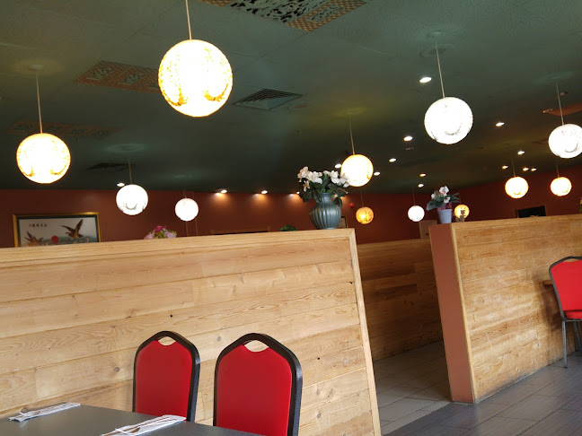 Comentarii opinii despre Star House Family Restaurant