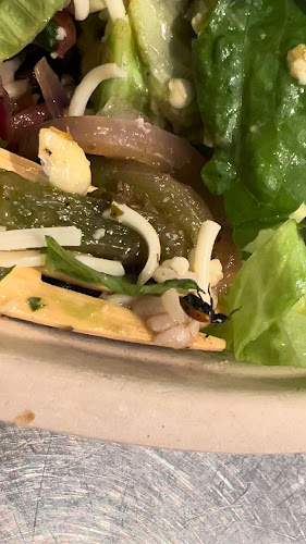 Comentarii opinii despre Chipotle Mexican Grill