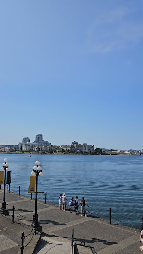 Steamship Grill & Bar - Hospitality and gastronomy