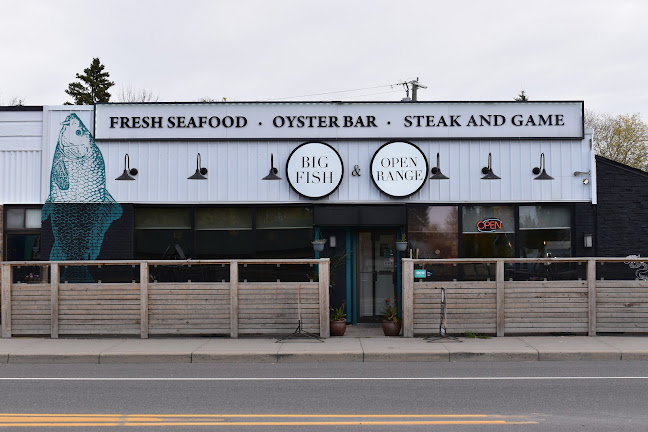Big Fish & Open Range - Renfrew