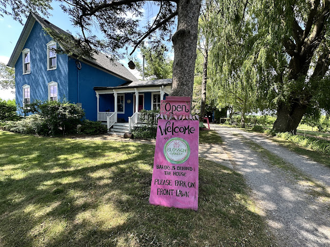 Blossom Bakery - Hospitality and gastronomy