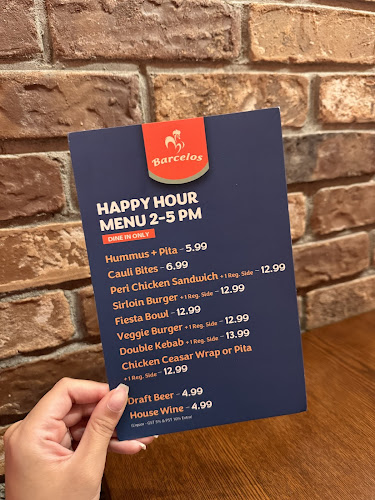 Barcelos Flame Grilled Chicken- Nordel