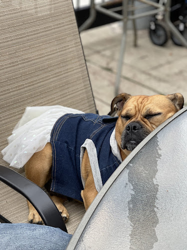 229 Locke St S, Hamilton, ON L8P 4B8, Canada