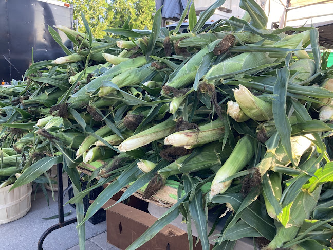 Comentarii opinii despre Orillia Farmers’ Market