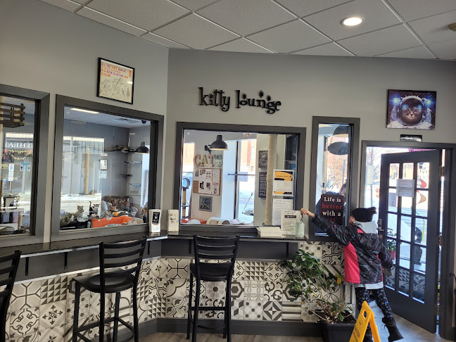 Comentarii opinii despre Alley Cat Cat Cafe