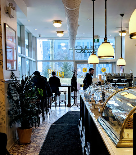 Balzac's Waterloo - Waterloo