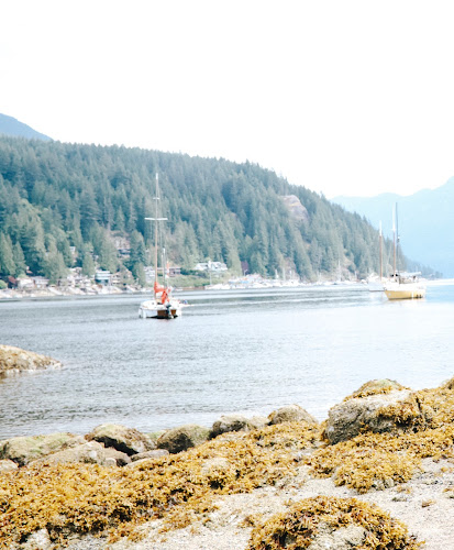 Comentarii opinii despre Caf/EH