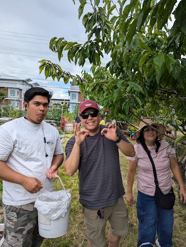 Comentarii opinii despre Westbank Corner Fruit Stall