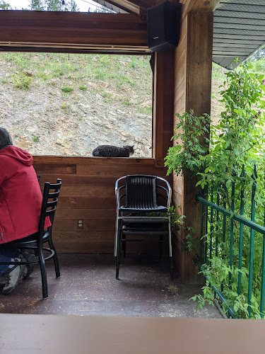 Opinii despre The Dam Restaurant & Bar în South Slocan - Hospitality and gastronomy