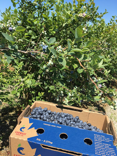 CanWest Farms Ltd. - Hospitality and gastronomy